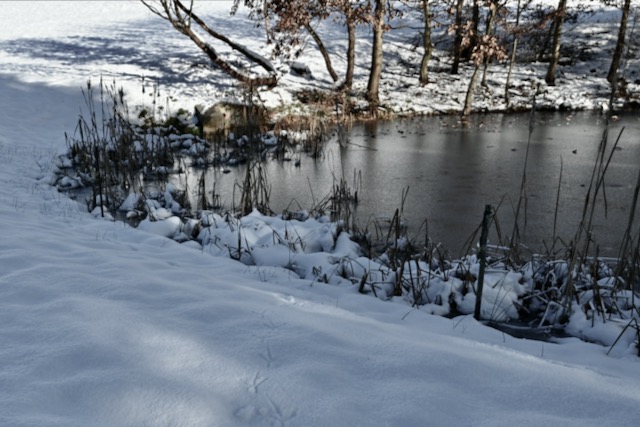 Spuren im Schnee